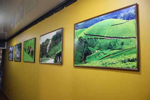Муннар: The Green Carpet Hotel