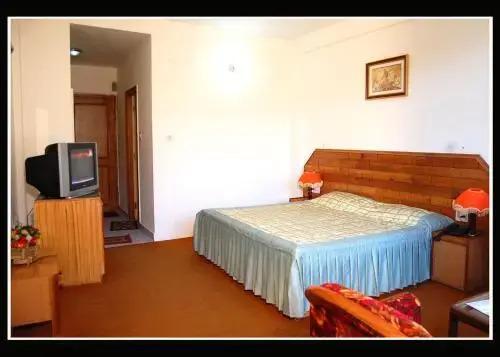 Манали: Hotel Nitesh