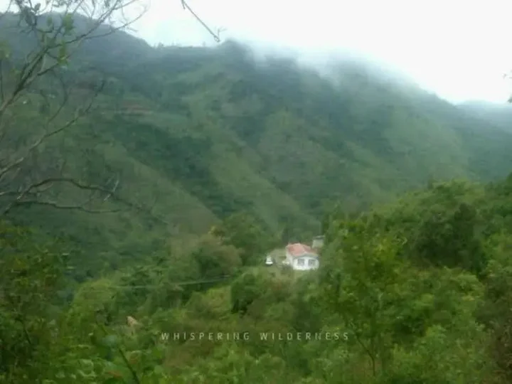 Ути: Hotel Whispering Wilderness - Sholur