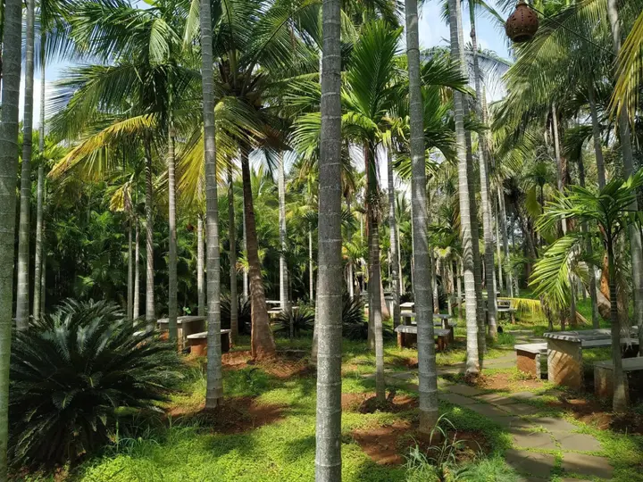 Раманагара: Vana Resorts