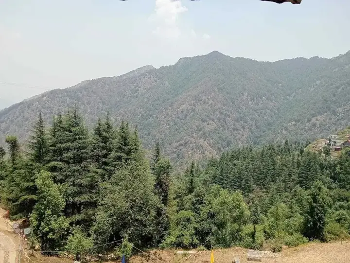 Техри: Viewtoria Resort