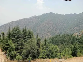 Техри: Viewtoria Resort
