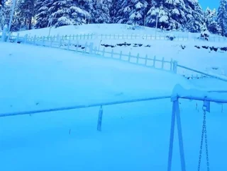 Техри: Viewtoria Resort