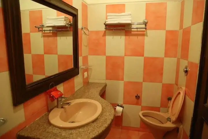 Чандигарх: Oyo 1133 City Park Plaza