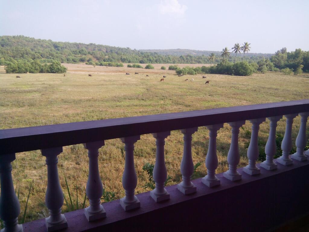 Южный Гоа: Luianna Resort