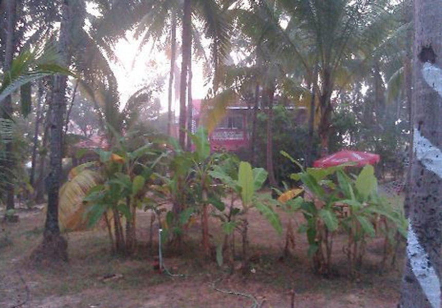 My Kind Of Place Beach Resort — фото 5