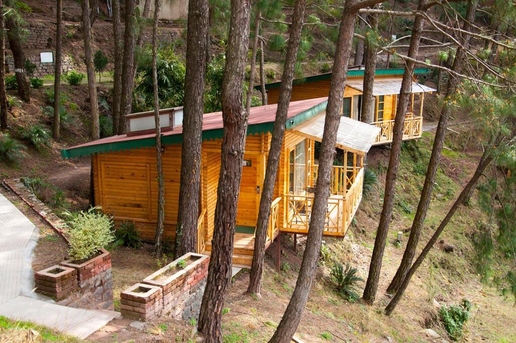 Kasauli Hills Resort — фото 3