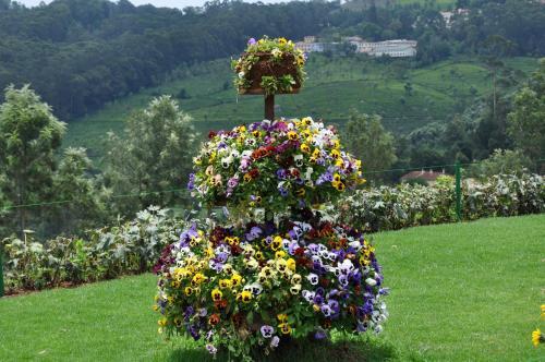 Кунур: The Misty Meadows Resorts Coonoor