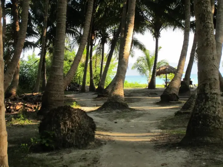 Остров Swaraj Dweep: Cross Bill Beach Resort