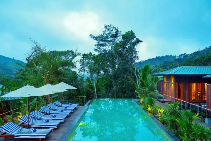 Куттикканам: Niraamaya Cardamom Club