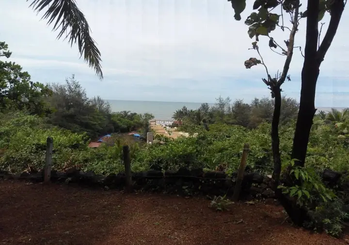 Agonda Dream View — фото 5