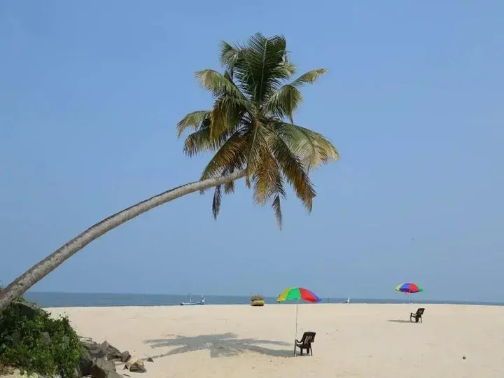 Аллеппи: Beach Paradise Ayurveda Beach Resort
