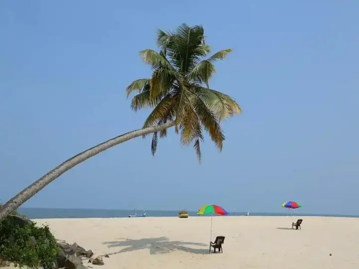 Аллеппи: Beach Paradise Ayurveda Beach Resort