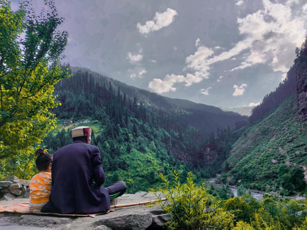 Манали: The Hosteller Manali