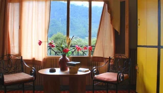 Манали: The Hosteller Manali