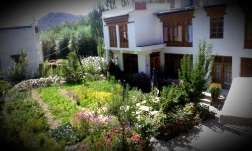 Лех: Zal Guest House