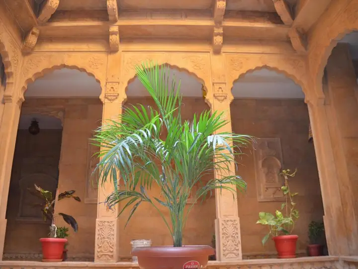 The Golden House Jaisalmer — фото 2