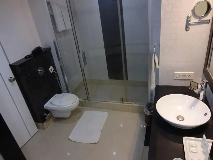 Пуна: The Hotel Hindusthan International