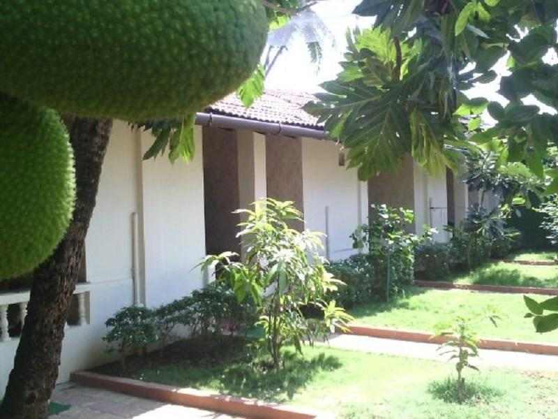 Palolem Delights Resort — фото 3