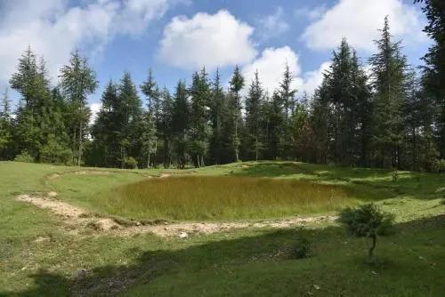 Куфри: Snow Trails Camp