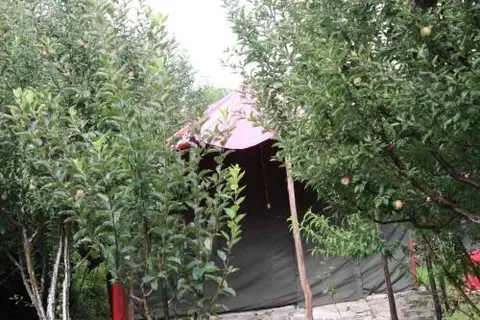 Куфри: Snow Trails Camp