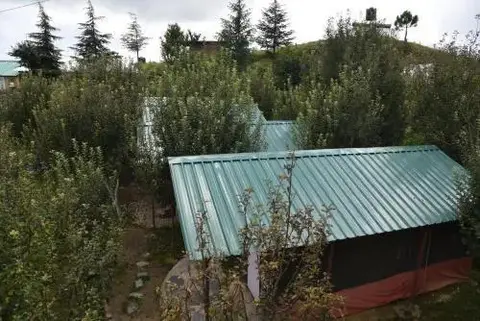 Куфри: Snow Trails Camp