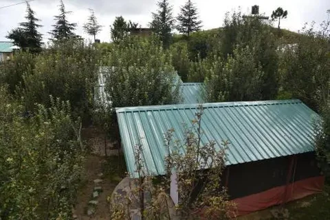 Куфри: Snow Trails Camp