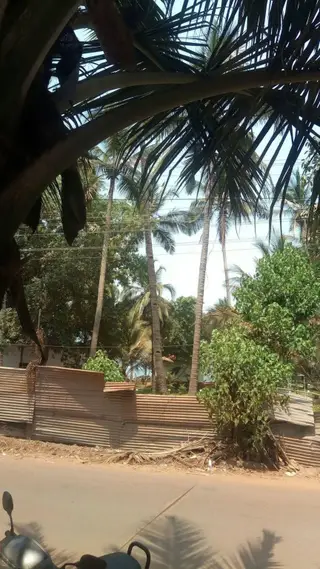 Shiva Ashvem Hotel — фото 4