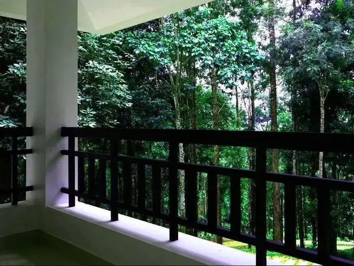 Кушалнагар: Woody Woods Home Stay