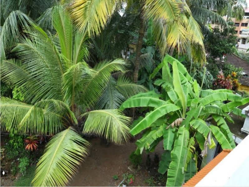 Коччи: Coconut Grove Homestay