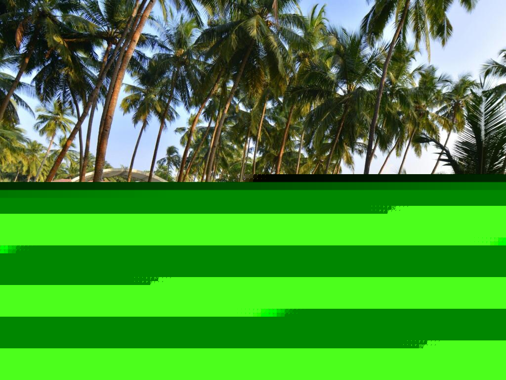 Панаджи: Bay15 Resort