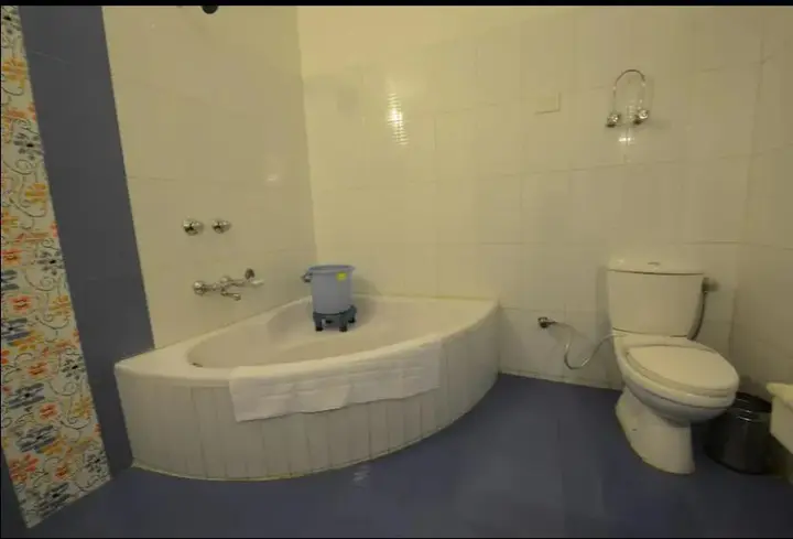 Манали: Hotel Park Paradise