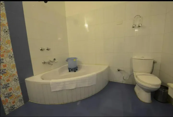 Манали: Hotel Park Paradise