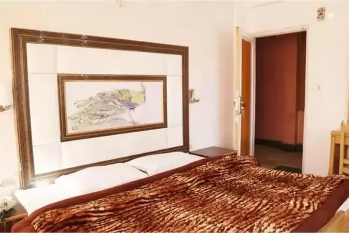 Манали: Ankit Palace