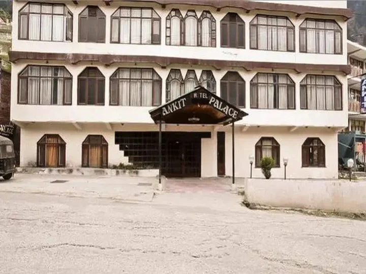 Манали: Ankit Palace