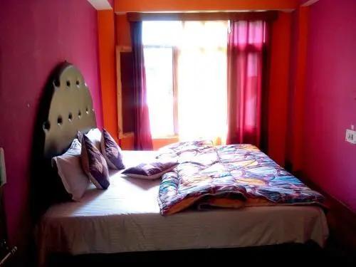 Манали: Antarctica Guest House