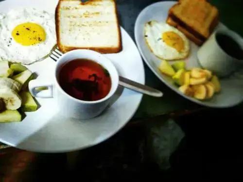 Манали: Antarctica Guest House