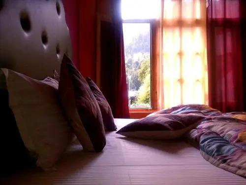 Манали: Antarctica Guest House