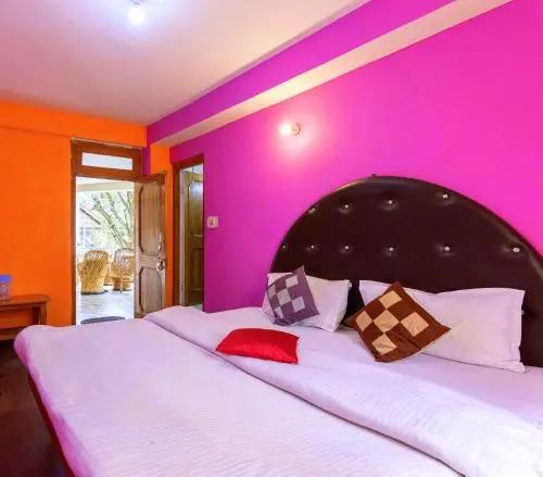 Манали: Antarctica Guest House