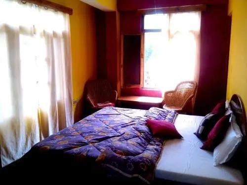 Манали: Antarctica Guest House