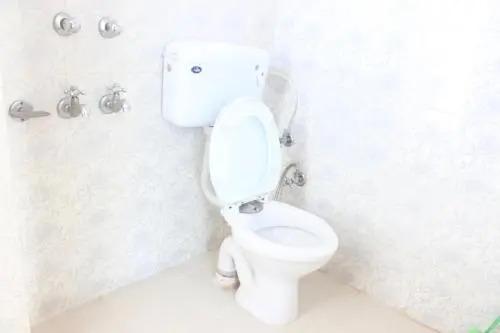 Манали: Antarctica Guest House