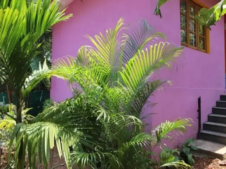 Арпора: Kalavati Guest House