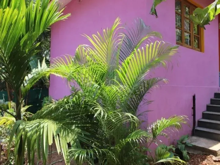 Арпора: Kalavati Guest House
