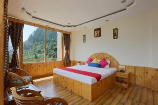 Манали: Lotus Inn River View