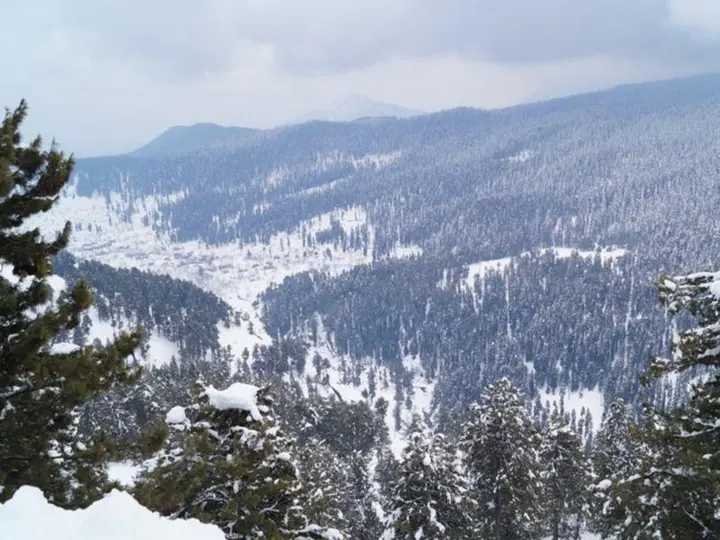 Гульмарг: Pride Resort Gulmarg
