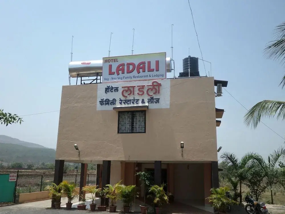 Hotel Ladli Lodging — фото 6
