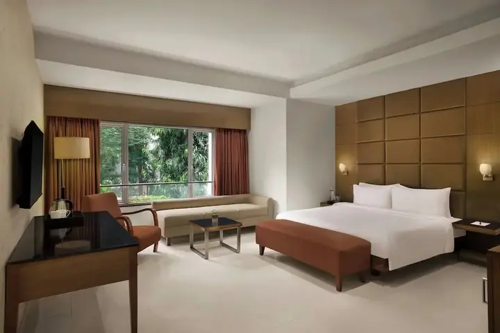 Пуна: Hotel Woodland