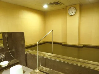 Гуруграм: Dia Park Premier Hotel