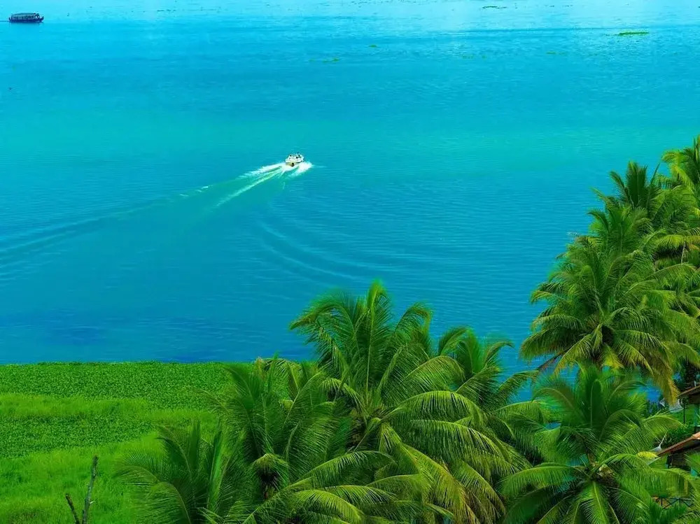 Кумараком: Backwater Ripples Kottayam