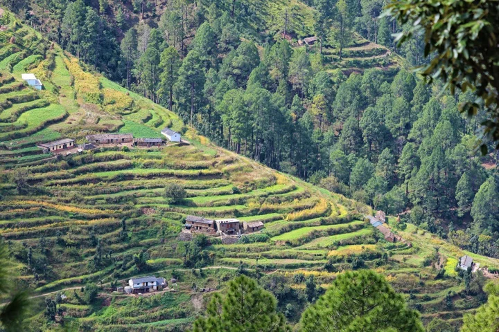 Техри: Whispering Pines Himalayan Retreat